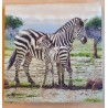 Servietten Zebras