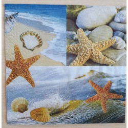 Servietten Seestern/Muscheln