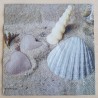 Servietten Muscheln