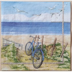 Servietten Fahrrad/Strand