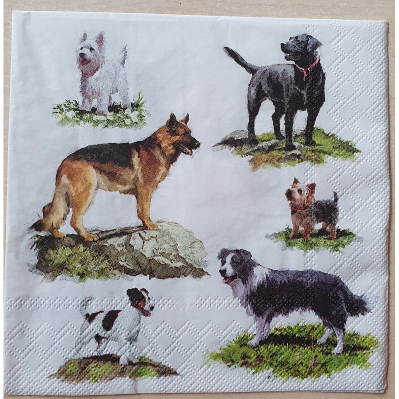 Servietten verschiedene Hunde
