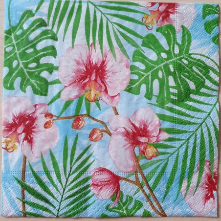 Servietten Orchideen