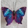 Schmetterling violette/türkis