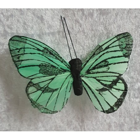 Schmetterling mint
