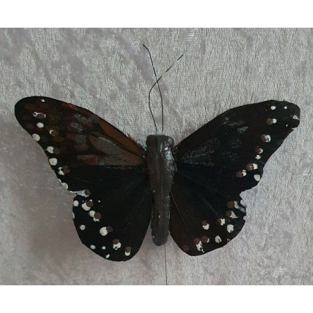 Schmetterling schwarz/braun