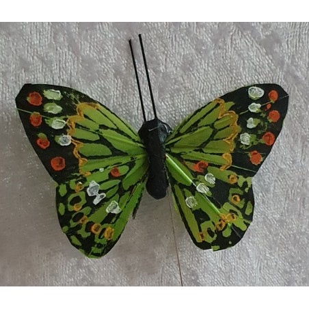 Schmetterling grün