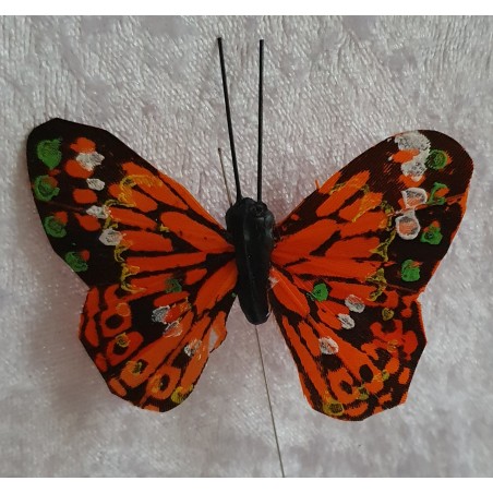 Schmetterling orange