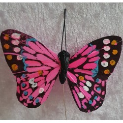 Schmetterling rosa