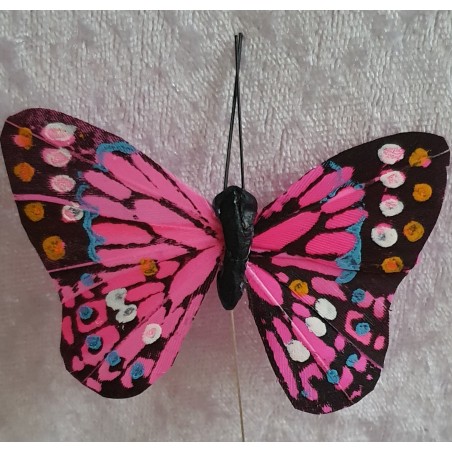 Schmetterling rosa