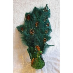 Pfau mit Clip
