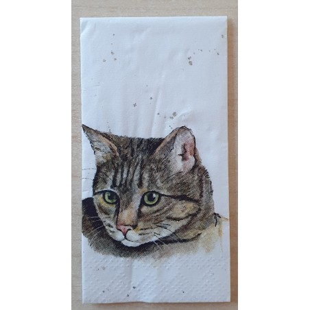 Taschentücher Katze