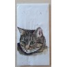 Taschentücher Katze