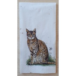 Taschentücher Katze