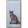 Taschentücher Katze
