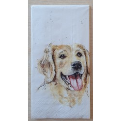 Taschentücher Golden Retriever