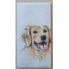 Taschentücher Golden Retriever