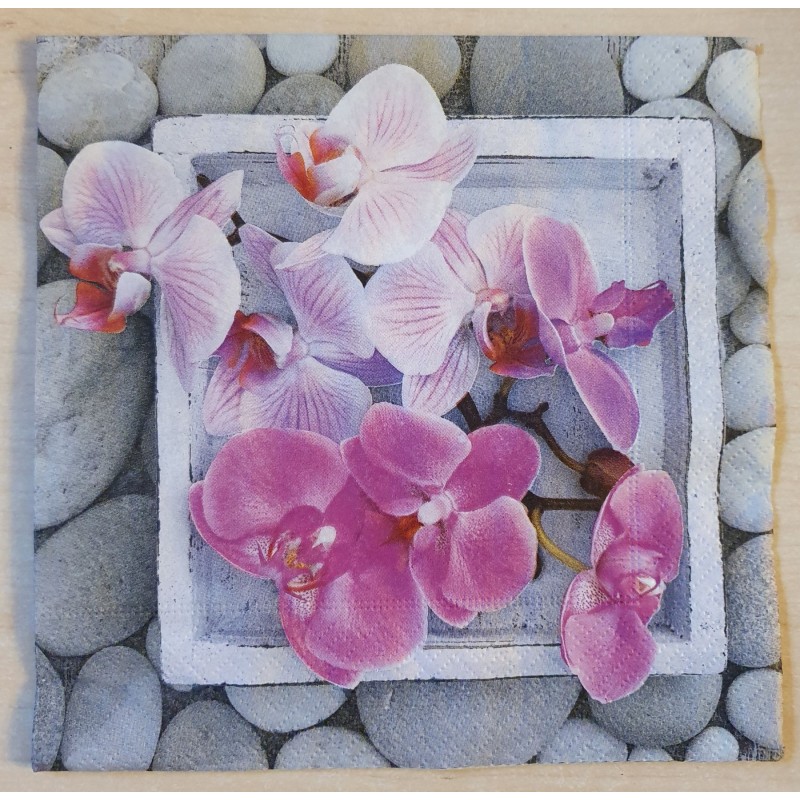 Serviette Orchideen