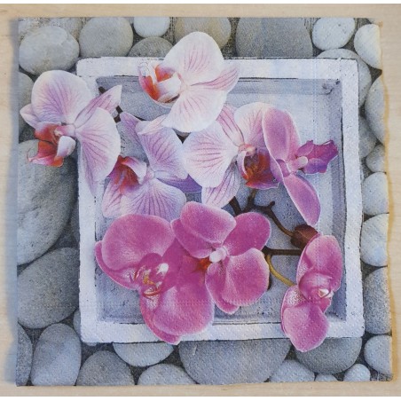 Serviette Orchideen