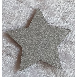 Holzstern silber