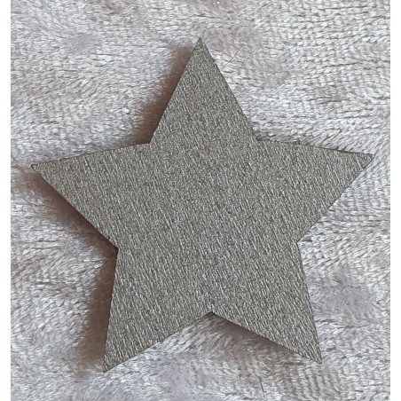 Holzstern silber