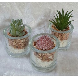Künstliche Sukkulente im Glas