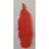 Filz Feder orange