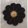 Filz Blume schwarz