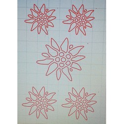 Schablone Edelweiss 2
