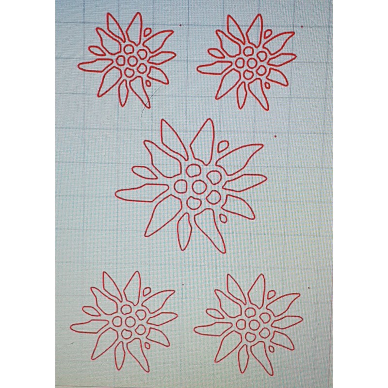 Schablone Edelweiss 2