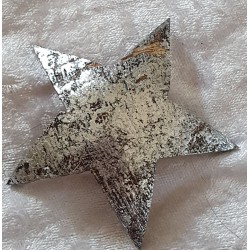 Kokos Stern silber
