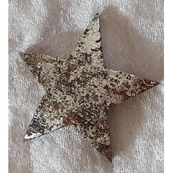 Kokos Stern silber