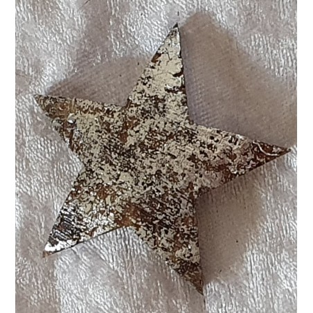 Kokos Stern silber
