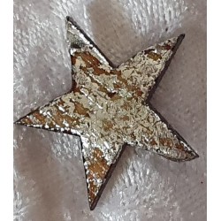 Kokos Stern silber