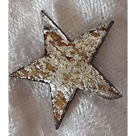 Kokos Stern silber