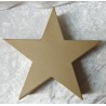 Pappmache Stern