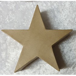 Pappmache Stern