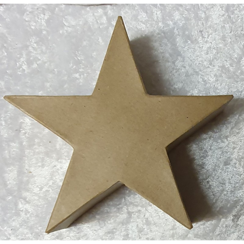 Pappmache Stern