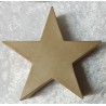 Pappmache Stern