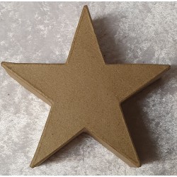 Pappmache Stern