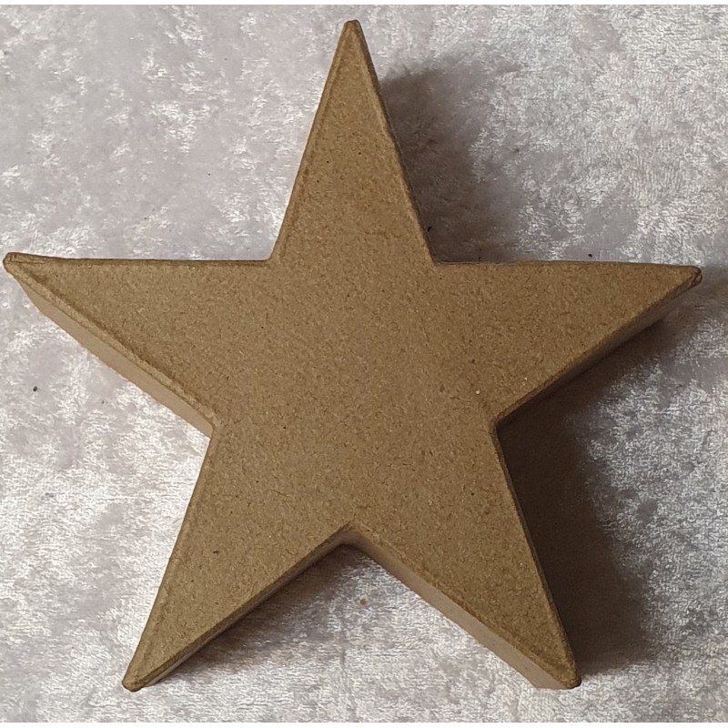 Pappmache Stern