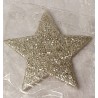 Glitzer Stern champagner