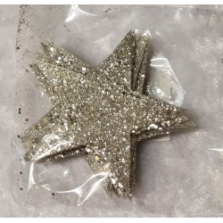 Glitzer Stern champagner