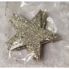 Glitzer Stern champagner