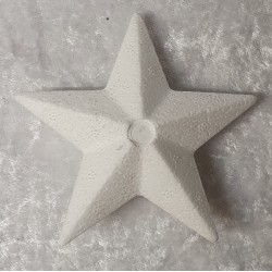Styropor Stern