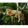3D Pixel Bild Leopard