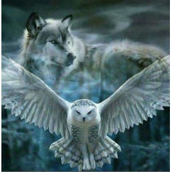 3D Pixel Bild Wolf/Eule