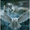 3D Pixel Bild Wolf/Eule