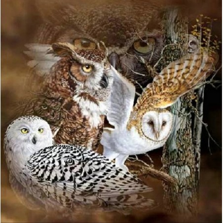 3D Pixel Bild Eulen