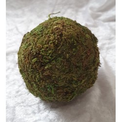 Kugel aus Moos