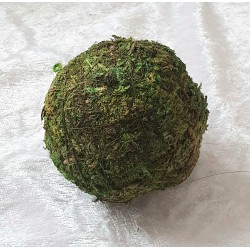Kugel aus Moos